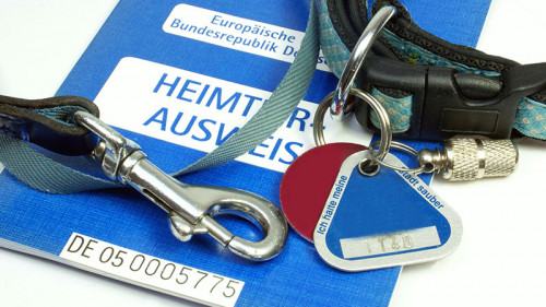 umzug mit tieren heimtierausweis umzug mit tieren heimtierausweis