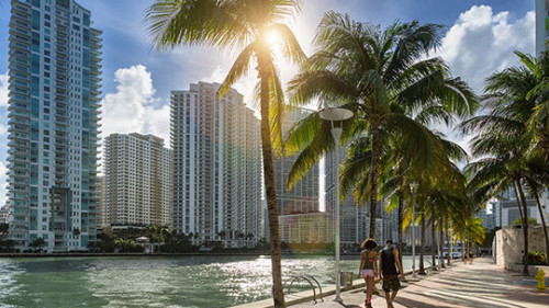uts privatumzug usa florida v2 uts privatumzug usa florida v2